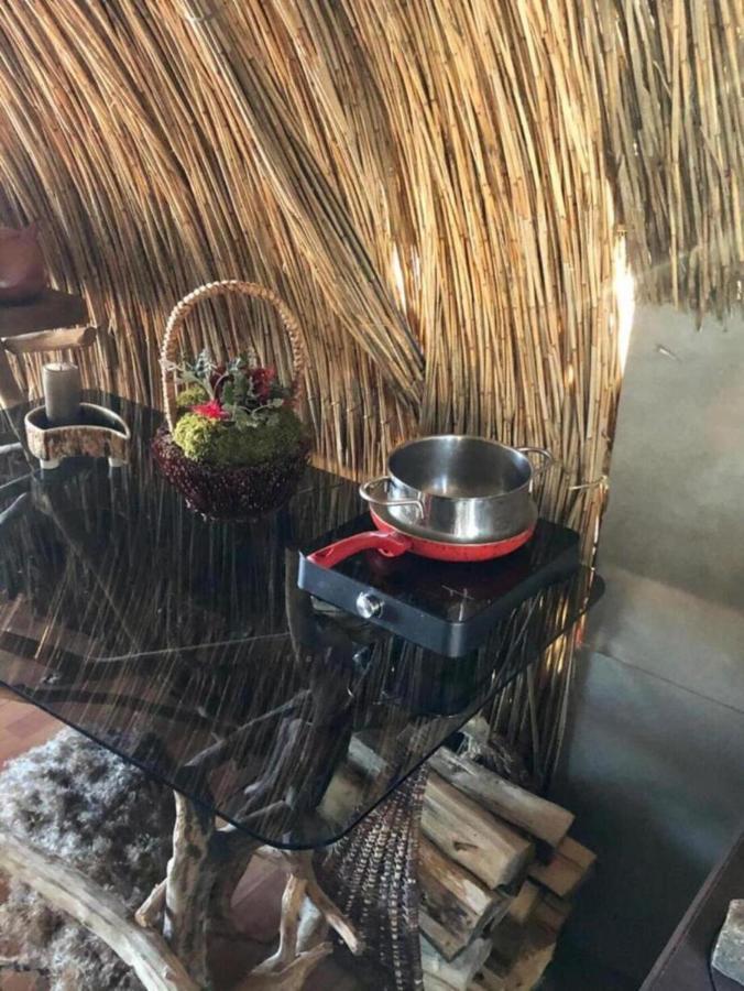Bebru Maja - Beaver House Usma Eksteriør billede