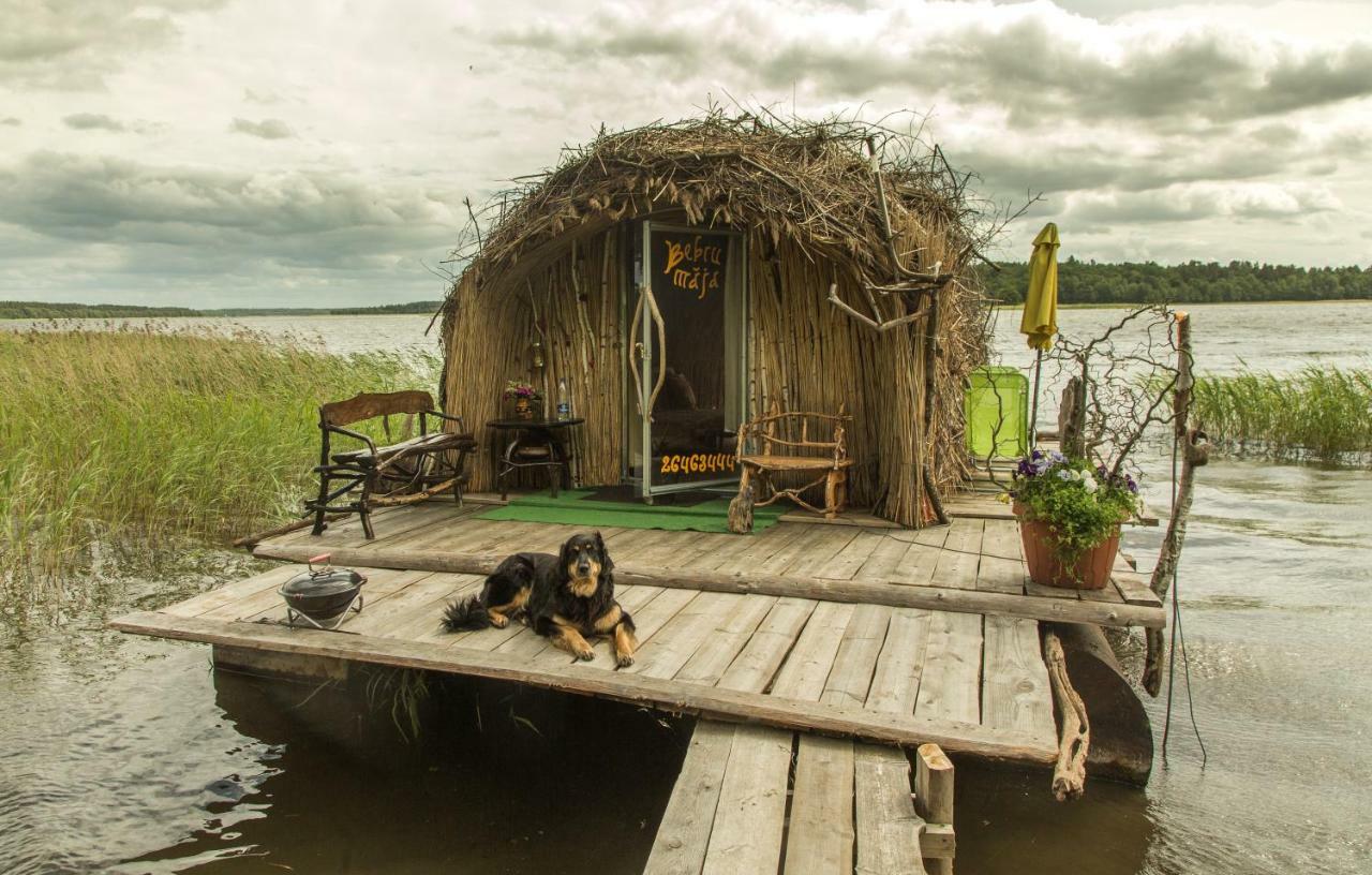 Bebru Maja - Beaver House Usma Eksteriør billede